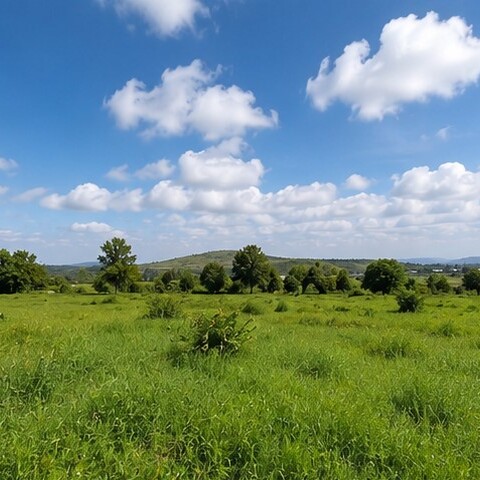 Property 6 Acres Isinya